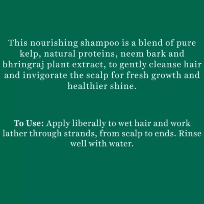 Biotique Ocean Kelp Anti Hair Fall Shampoo Intensive Hair Growth Therapy, 340ml